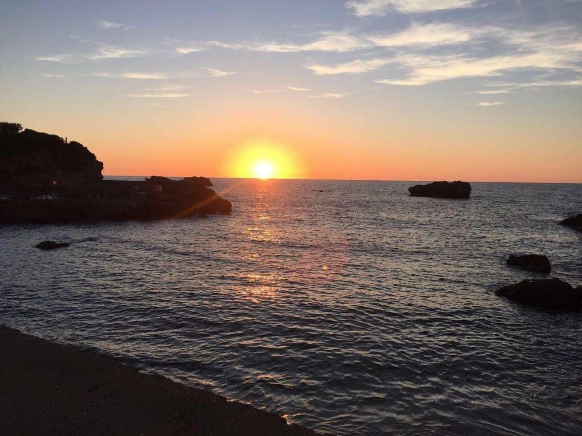 Petit Appartement Douillet Tres Bien Situe Biarritz Ngoại thất bức ảnh