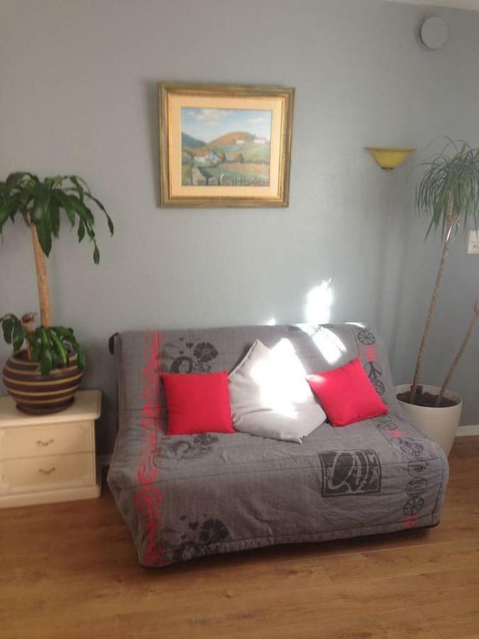Petit Appartement Douillet Tres Bien Situe Biarritz Ngoại thất bức ảnh